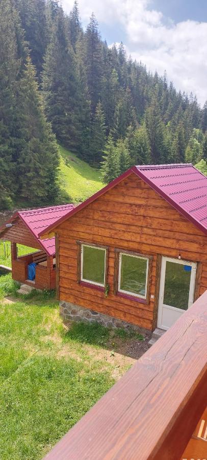 Hotel Крайня Хата à Synevyrsʼka Polyana Extérieur photo